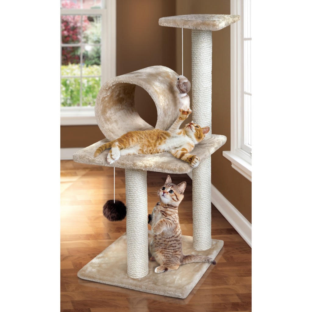 Cats on scratching post
